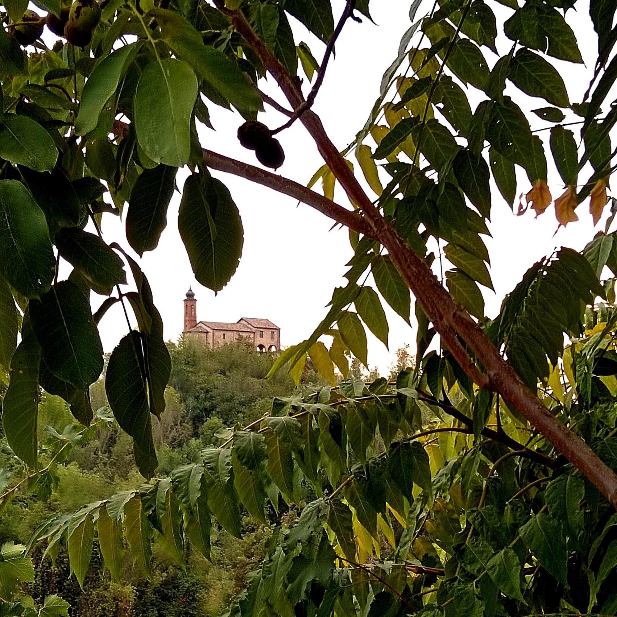 Teresa Al Belvedere Rooms&Holidayapartments Camere&Appartamenti Castellinaldo Exterior foto